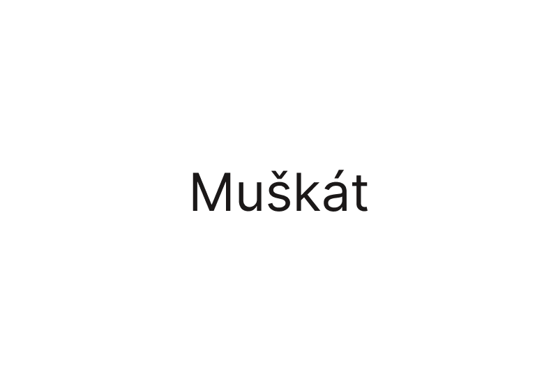 Bílé víno Muškát - polosladké